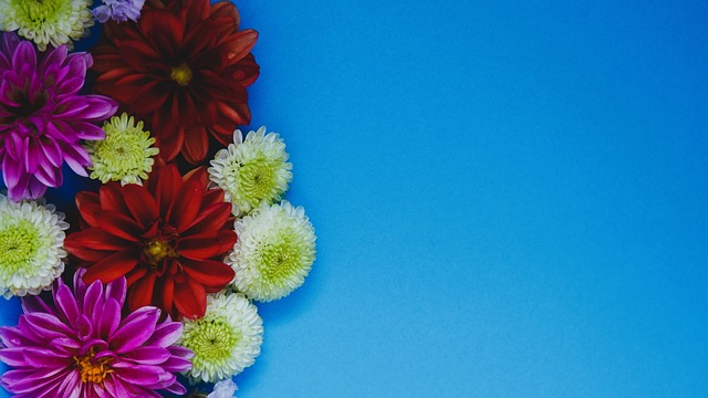 本文将全面 本文将全面