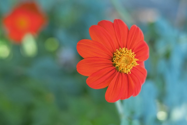 的投资提供 的投资提供