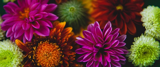 更多看点 更多看点