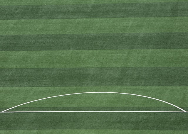 很多针对性 很多针对性